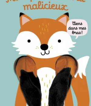 Mon petit renard malicieux