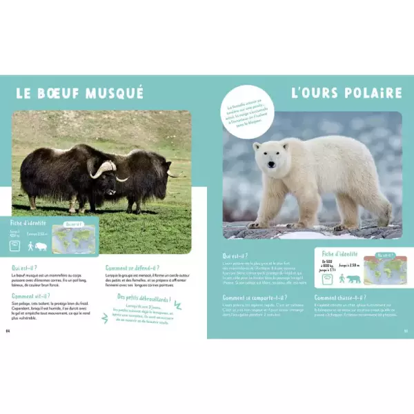 Mon très grand animalier du monde – Image 2