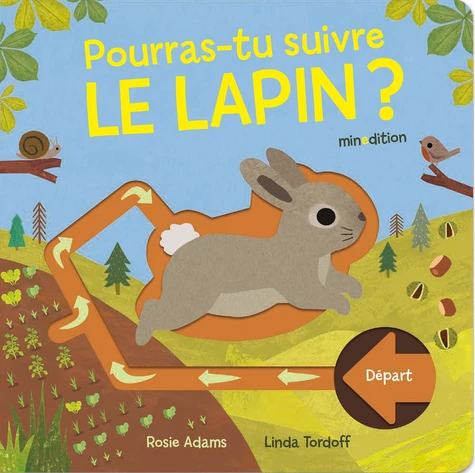 Pourras-tu-suivre-le-lapin.webp