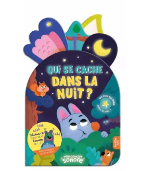 Qui se cache dans la nuit ?
