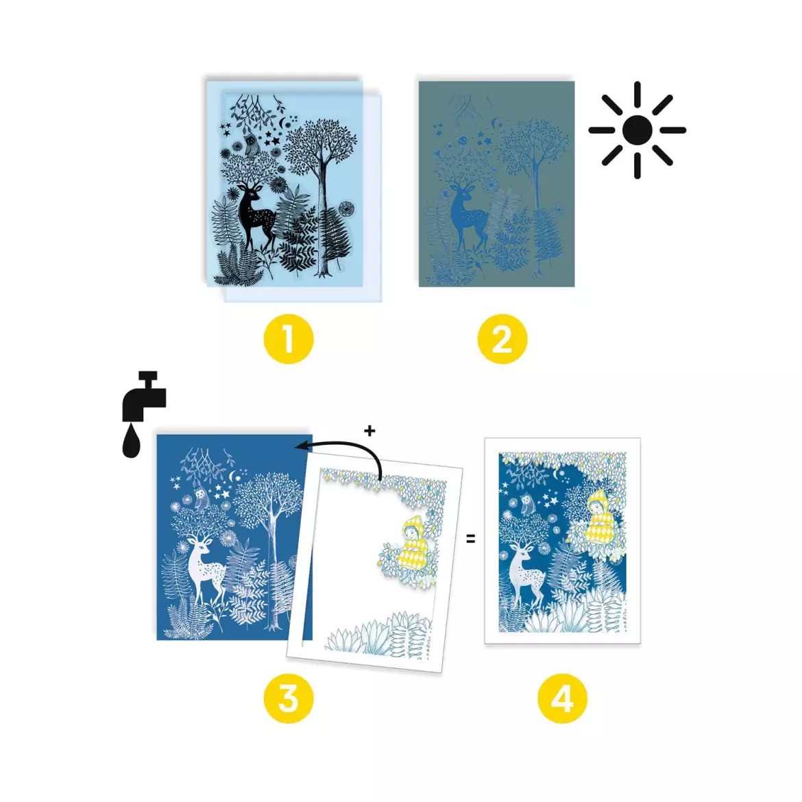 9342_Cyanotype_____.webp
