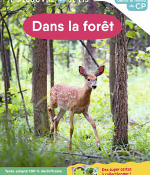 Dans la forêt - niv.1