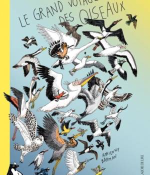 Le grand voyage des oiseaux
