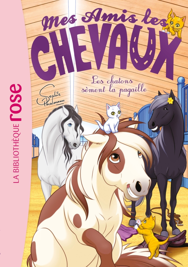 Les-chatons-sement-la-pagaille.jpeg