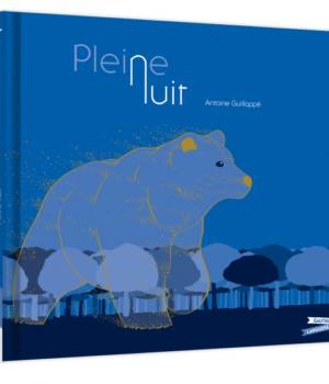 Pleine nuit