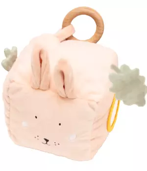 Cube d'activités lapin