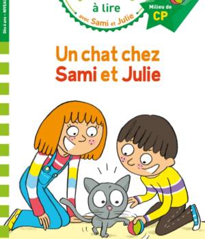Un chat chez Sami et Julie