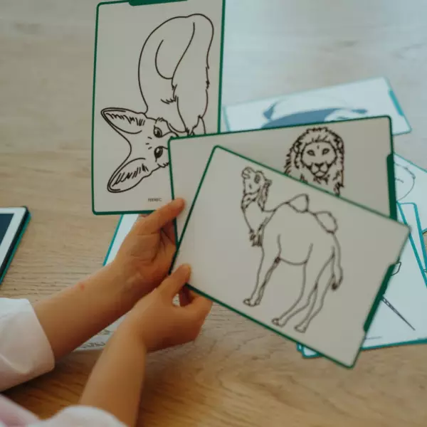 Tablette à dessin avec calque : animaux autour du monde – Image 3