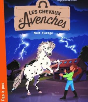Les chevaux d'Avenches : Nuit d'orage