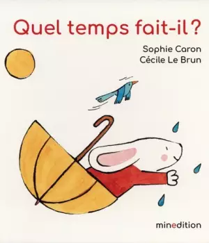 Quel temps fait-il ?