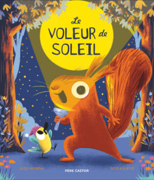 Le voleur de soleil