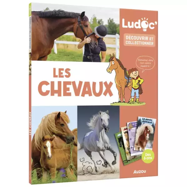 Les chevaux