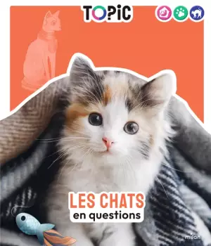 Les chats en question