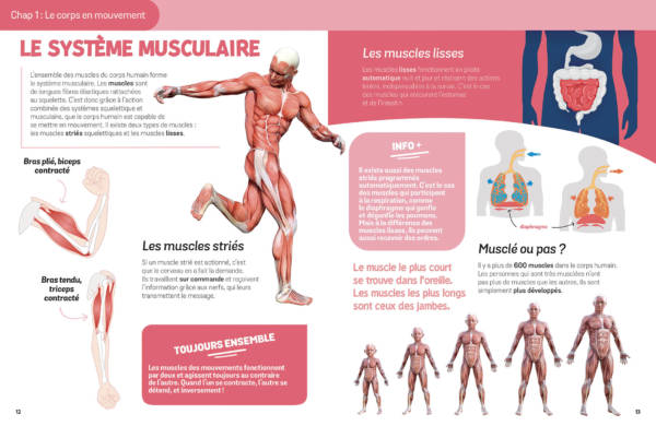 Le corps humain – Image 3