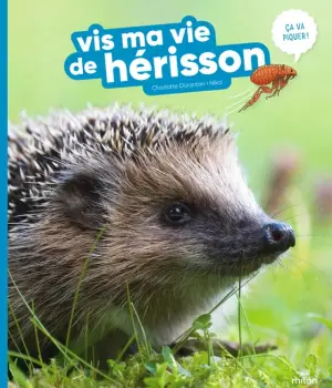 Vis ma vie de hérisson