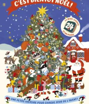 C'est bientôt Noël ! 24 mini-livres et un puzzle