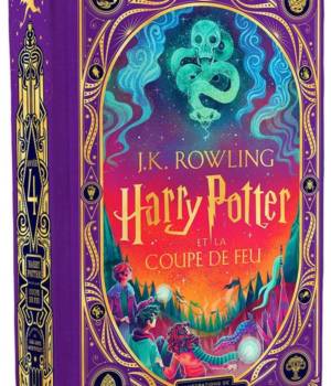 Harry Potter et la Coupe de Feu t.4 - version pop-up