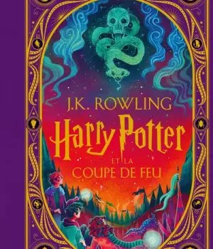 Harry Potter et la Coupe de Feu t.4 - version pop-up