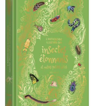 L'anthologie illustrée des insectes étonnants et autres petites bêtes