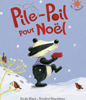 Pile-poil pour Noël
