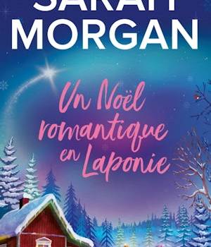 Un Noël romantique en Laponie
