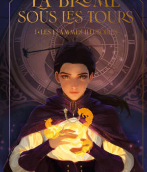 La brume sous les tours t.1 : Les flammes illusoires