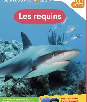Les requins - niv. 4