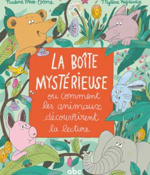 La boîte mystérieuse