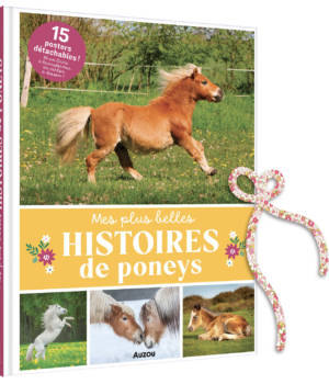 Mes plus belles histoires de poneys