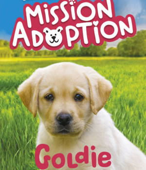 Mission adoption : Goldie