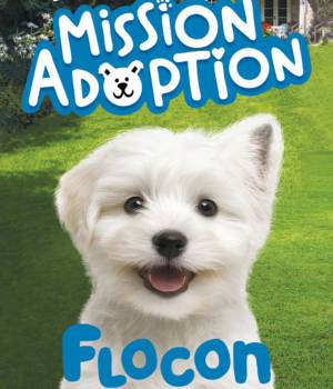 Mission adoption : Flocon