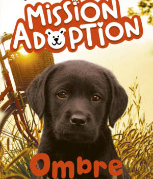 Mission adoption : Ombre