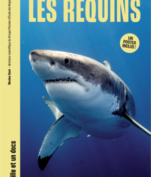 Les requins