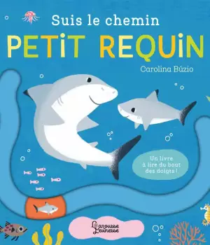 Suis le chemin petit requin