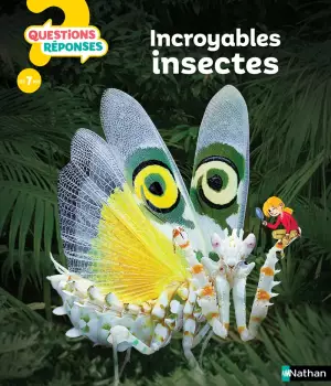 Incroyables insectes - questions réponses