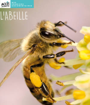 L'abeille