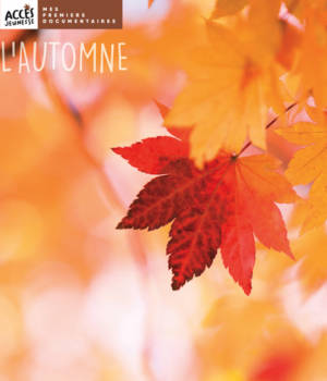 L'automne