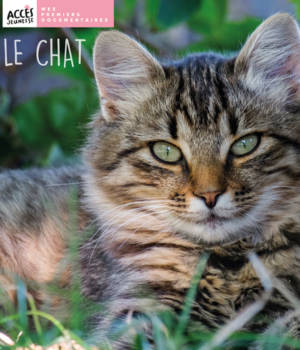 Le chat