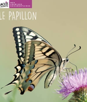 Le papillon