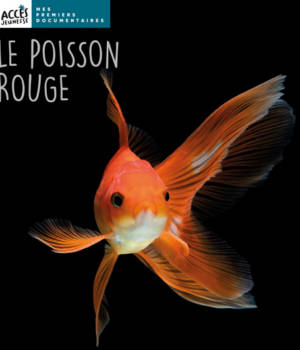 Le poisson rouge