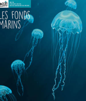 Les fonds marins