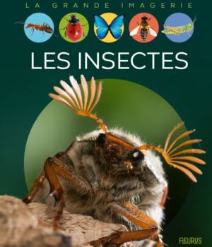 Les insectes