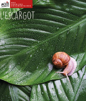 L'escargot