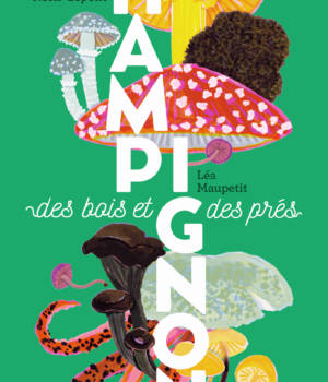 Champignons