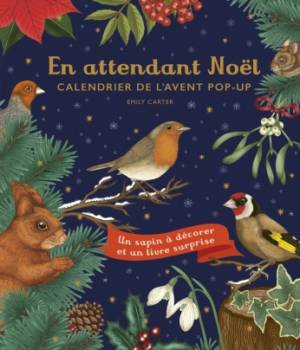 En attendant Noël : mon calendrier de l'Avent pop-up