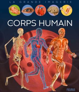 Le corps humain