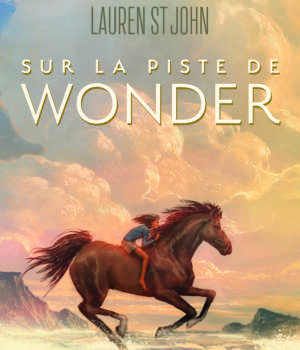 Sur la piste de Wonder