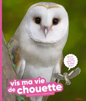 Vis ma vie de chouette